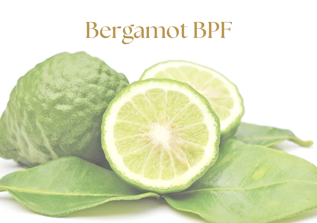 Bergamot BPF is a natural citrus extract that helps support cholesterol levels and elevated liver enzymes